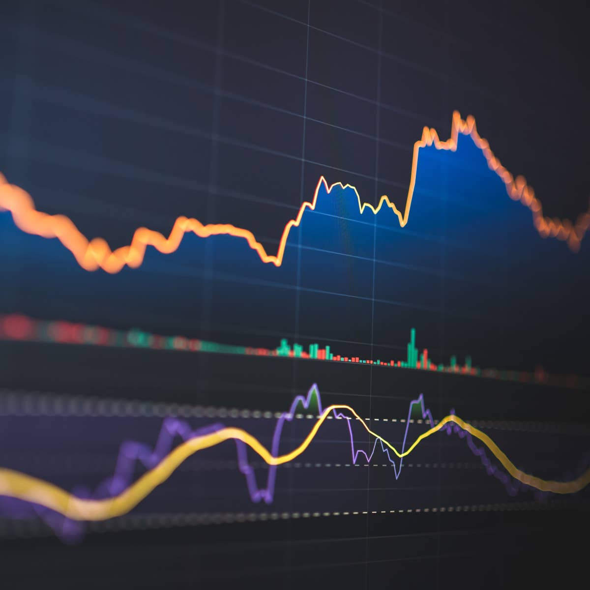 gov tracking crypto