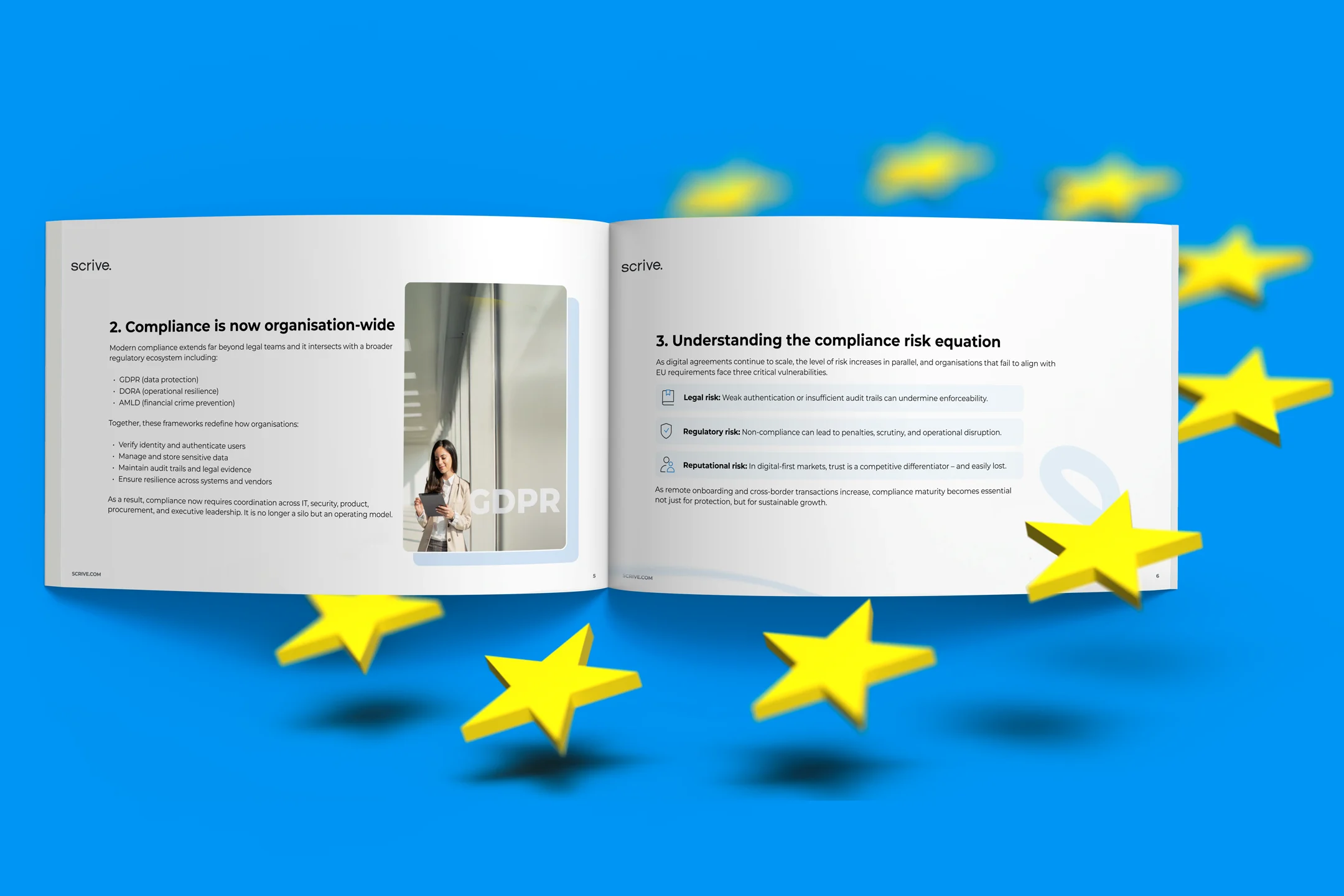 The Compliance Playbook